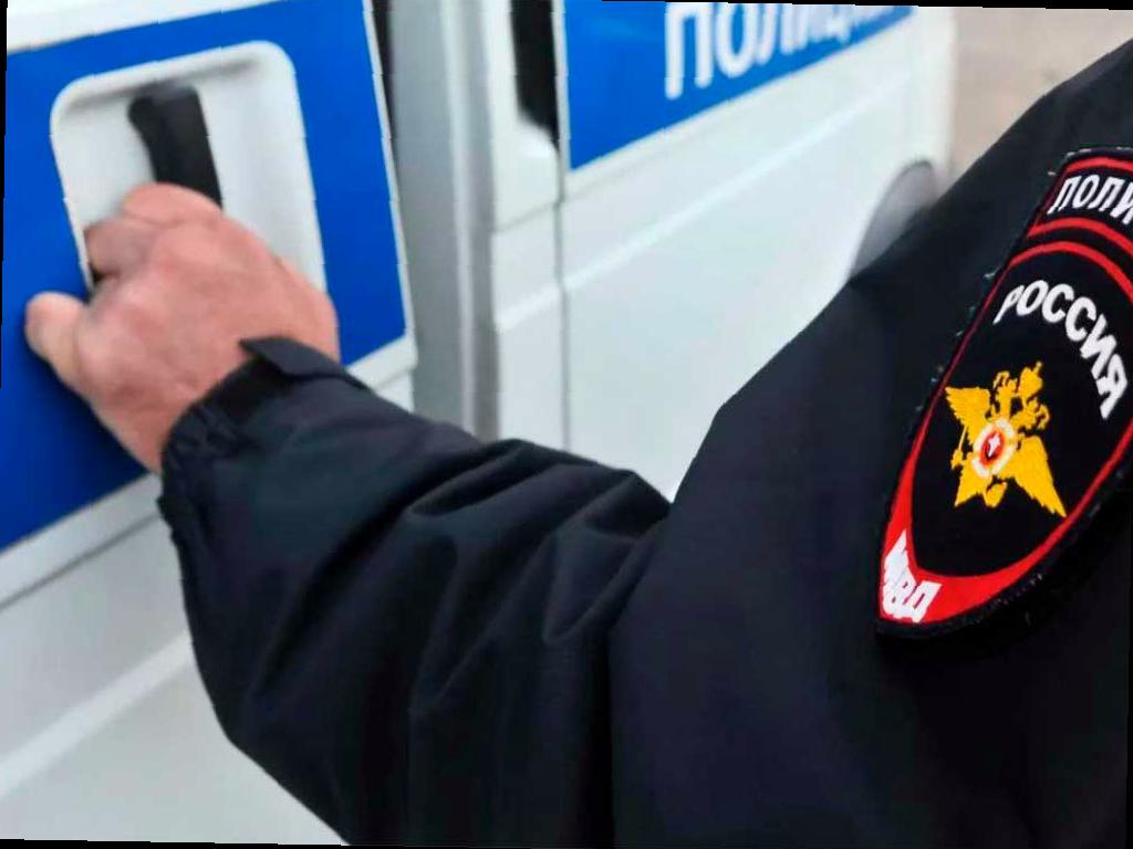 В Сочи найдено большое количество нелегальных морепродуктов