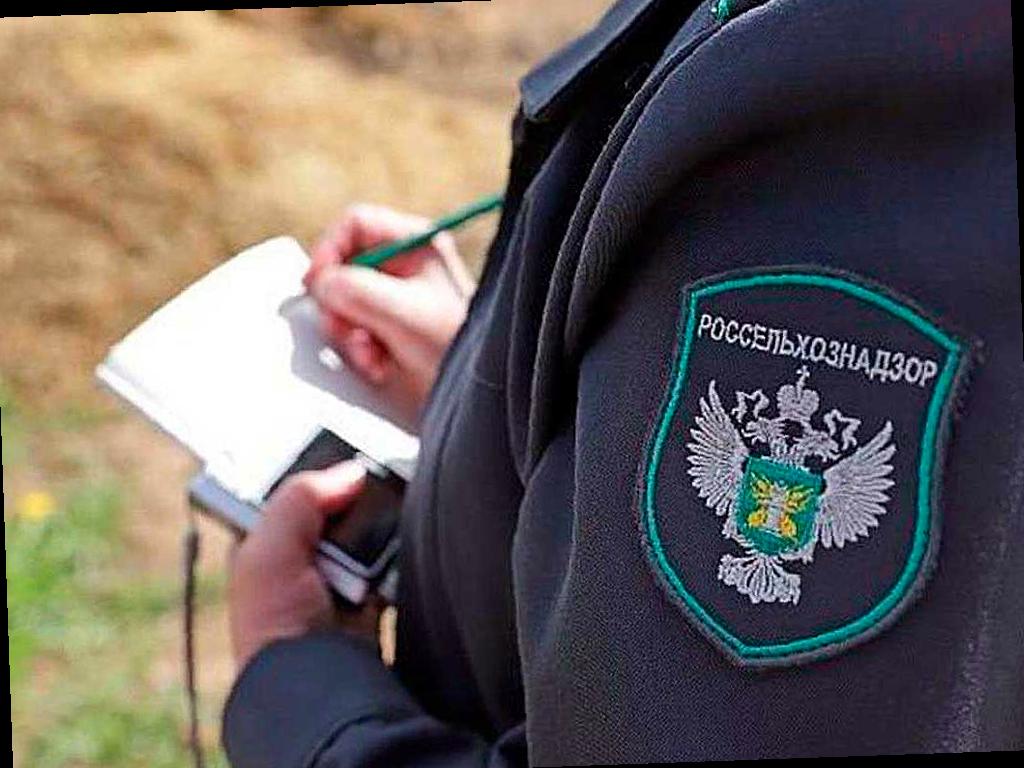 Опасный сорняк найден на землях в Адыгее