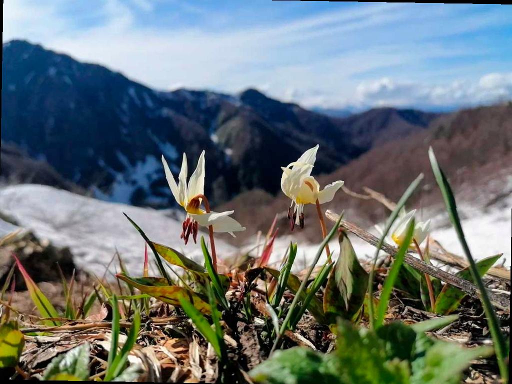 Открывается фотовыставка победителей конкурса «Четыре сезона красоты»