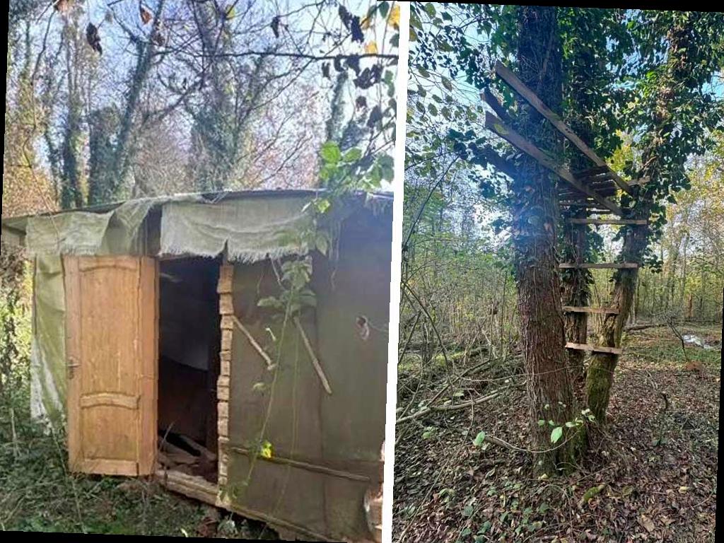 В Сочинском нацпарке обнаружили браконьерское укрытие