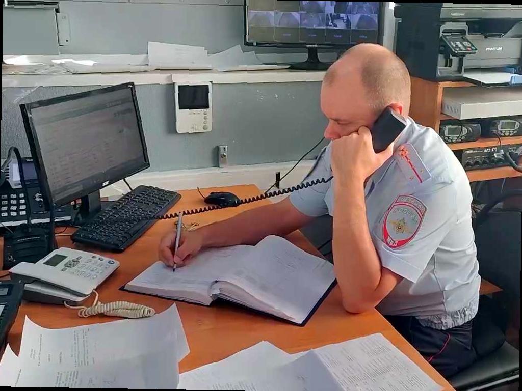 В Сочи начата проверка после жалоб на стрельбу по животным
