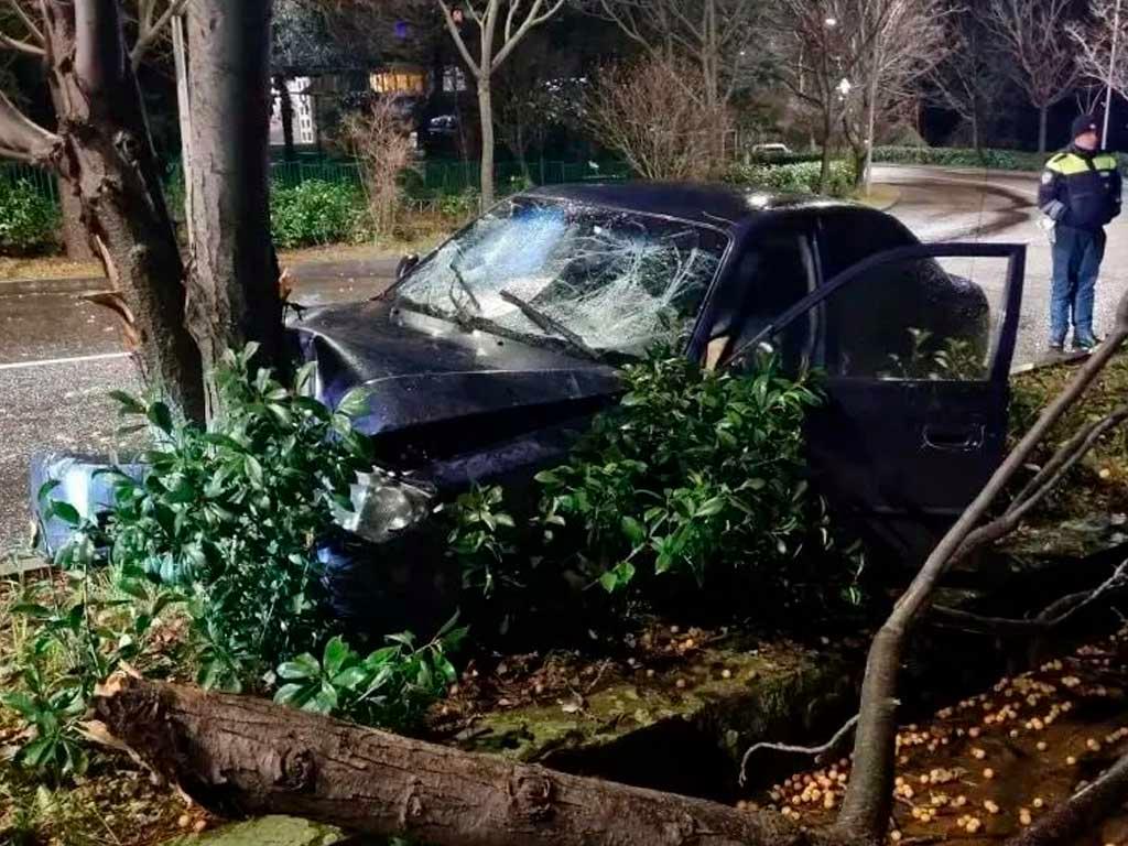 Подросток в Сочи попал в аварию, врезавшись в дерево