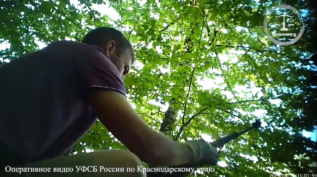 Приговор за незаконное хранение и сбыт огнестрельного оружия в Сочи