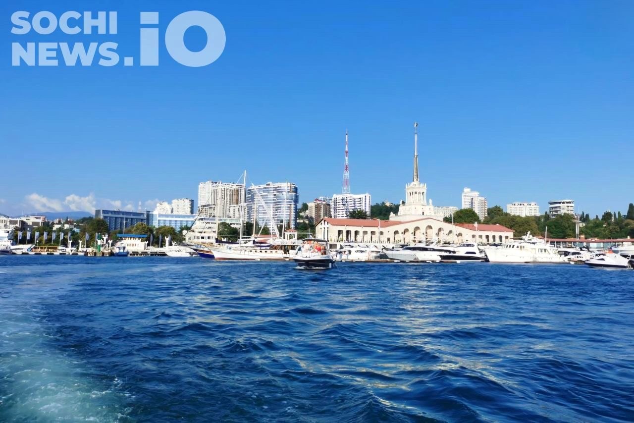 Ситуация с экологией в Сочи остается стабильной и безопасной