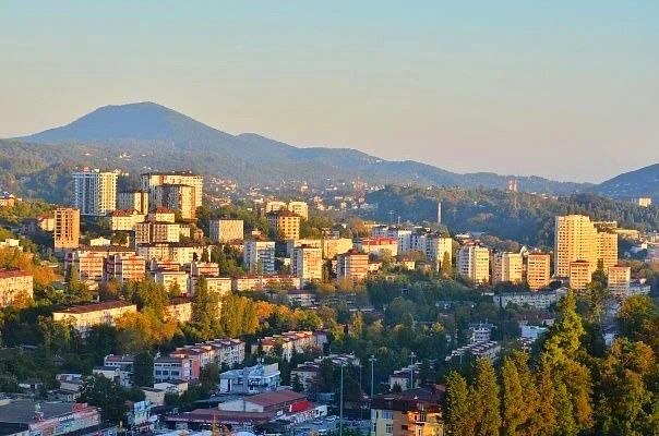 Контроль за несанкционированной торговлей в Сочи приносит средства в бюджет
